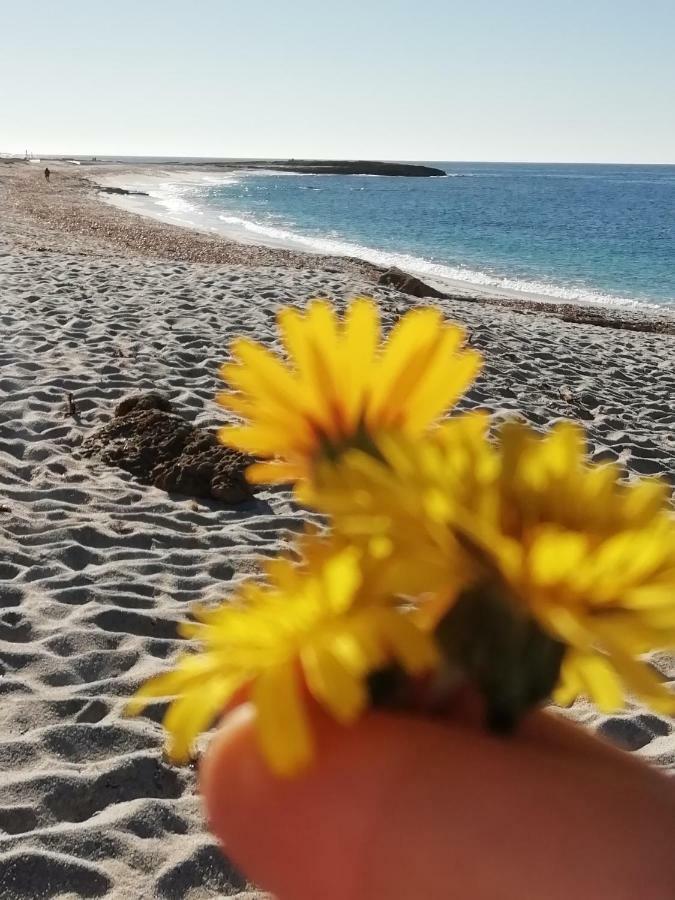 Sardinia For You Oristano Bagian luar foto